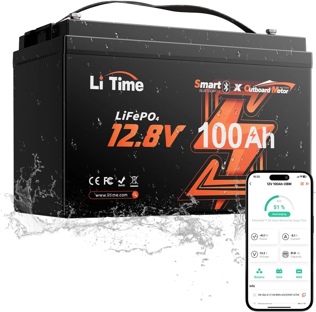 Litime Akku LiFePO4, 100 Ah, 12 V, Bluetooth