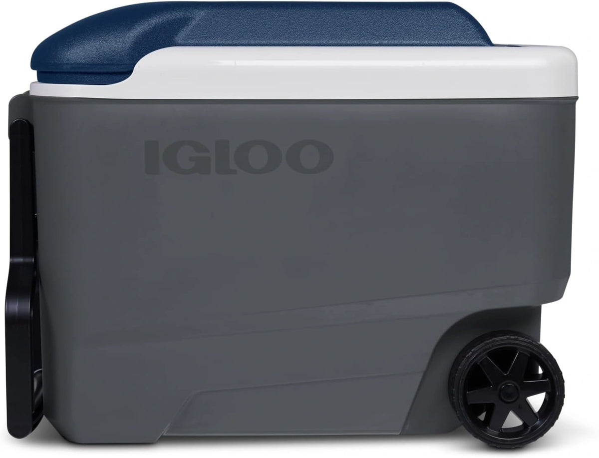 Igloo Gerät 40qt